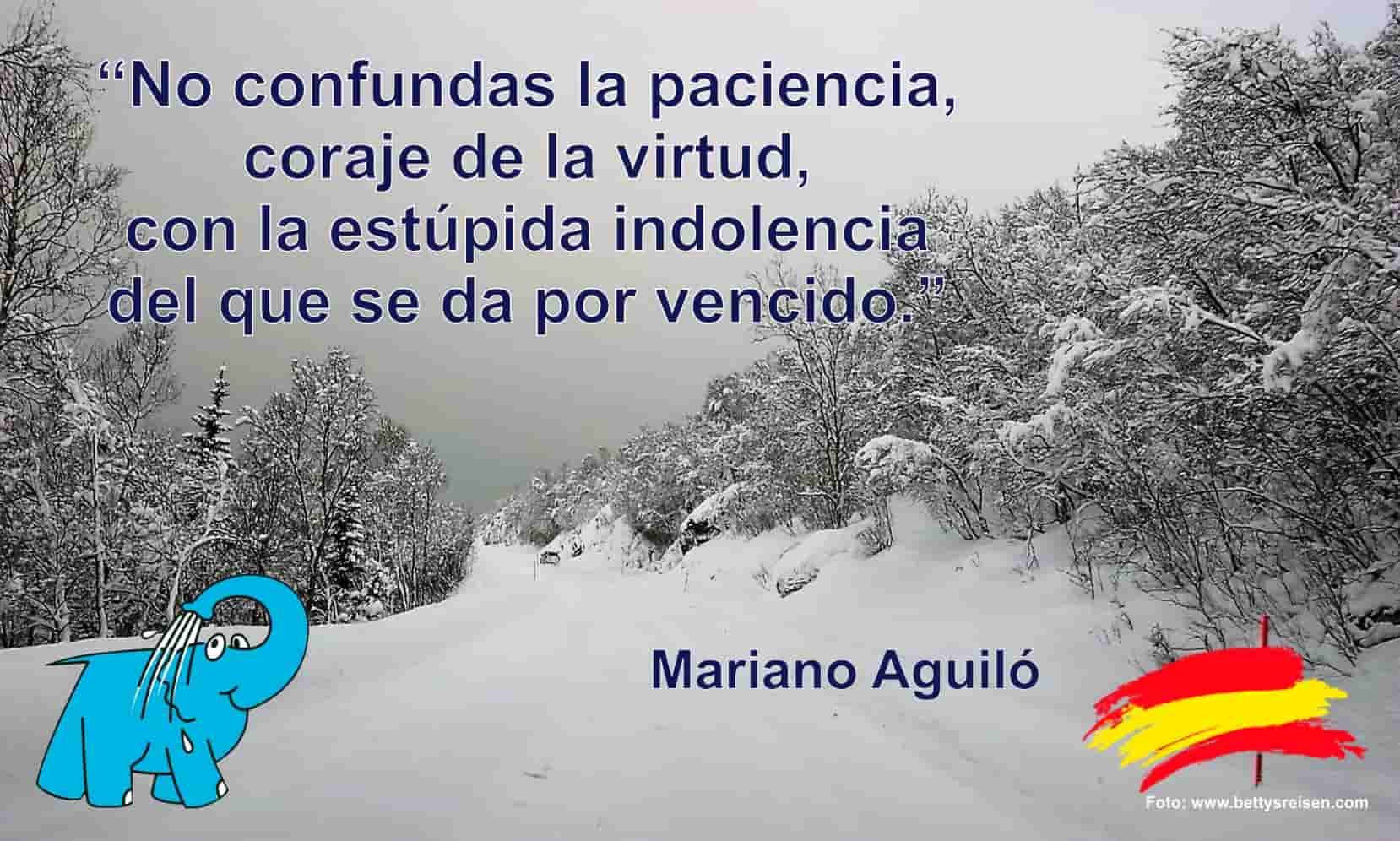 No confundas la paciencia, coraje de la virtud, con la estúpida indolencia del que se da por vencido.